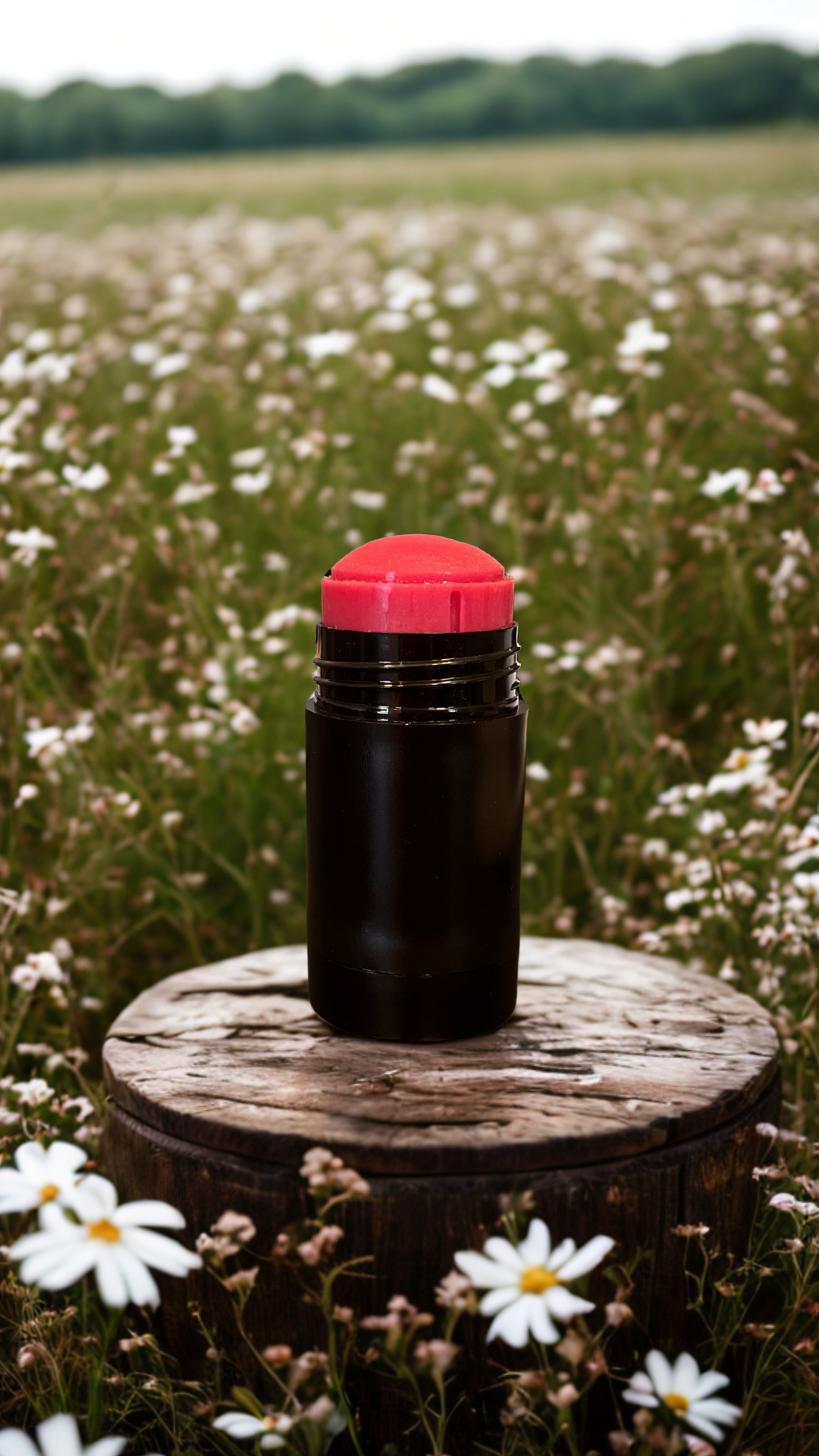 Barra Color Stick 30 ml