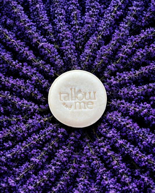 Shampoo en barra Cabello Normal de Tallow, Lavanda y Karité 65 g